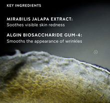 NIOD Superoxide Dismutase 3 Enzyme Mist (SDEM3)